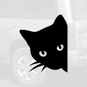 Котэ выглядывает simplecreative
